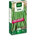 Haricot nain vert skipper + 20 g offert vilmorin