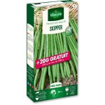 Haricot nain vert skipper + 20 g offert vilmorin Haricot nain vert skipper + 20 g offert vilmorin