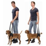 Harnais d'aide � la marche d�signation : harnais d&039aide � la marche taille : l trixie 19407