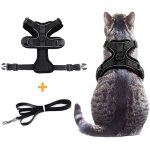 Harnais anti - fugue pour chat avec laisse, r�glable et confortable - �quipement de promenade s�curis� ...