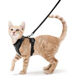 Harnais chat petit chien laisse harnais chaton r�glable noir s collier harnai chat refl�chissant gilet ...