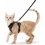 Harnais chat petit chien laisse harnais chaton rglable noir s collier harnai chat reflchissant gilet ...