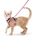 Harnais chat petit chien laisse harnais chaton r�glable rose xs collier harnai chat refl�chissant gilet ...