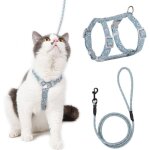 Harnais chat r�glable harnais laisse (bleu - vert s) pour chat petit chien en nylon avec laisse r�sistant ...