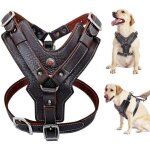 Harnais pour chien en cuir v�ritable r�glable ? contr�le rapide avec poign�e ? pour grands chiens jusqu'� ...