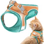 Harnais et laisse pour chat, veste de marche confortable pour chat avec laisse - ensoleill