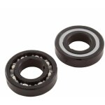 Roulements de turbine pour nettoyeur de piscine hayward