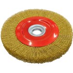 Holzmann maschinen - brosse circulaire pour meuleuse d'etabli 250x25x32 holzmann dsm250db