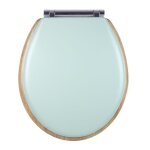 Homemaison - abattant olfa � descente assist�e 'r�tro pastel' vert 47x38 cm