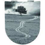 Homemaison - abattant wc wood slim life, descente assiste et dclipsable - olfa