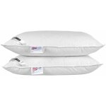 Homescapes - lot de 2 oreillers naturels en plumes et duvet de canard, 50 x 75 cm