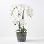 Homescapes grande orchid�e artificielle blanche en pot en c�ramique fonc� 82 cm