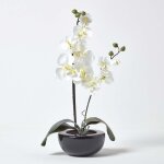 Homescapes - orchid�e artificielle cr�me pot c�ramique hauteur 54 cm