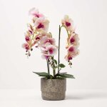 Homescapes - orchid�e artificielle rose en pot en ciment naturel 64 cm