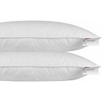 Homescapes - oreiller en plumes et duvet de canard 40 x 80 cm - lot de 2