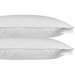 Homescapes oreiller en plumes et duvet d'oie 40 x 80 cm - lot de 2
