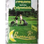 Hortus buona luna 1 kg de graines de pelouse gazon de jardin a pied