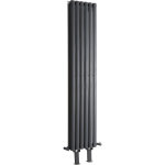 Hudson reed - vitality - radiateur vertical sur pieds anthracite  double c?ur de chauffe - 160cm x 35. ...