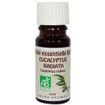 Huile essentielle 10 ml eucalyptus radiata - bio - ceven aromes Huile essentielle 10 ml eucalyptus radiata - bio - ceven aromes