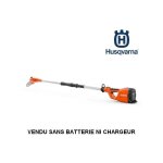 Husqvarna - lagueuse sur perche � batterie 120itk4 - p nue coupe 25 cm