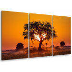 Hxadeco - tableau triptyque deco cache cache et coucher de soleil - 90x60 cm