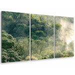 Hxadeco - tableau triptyque paysage fort dans la lumire matinale - 90x60 cm
