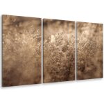 Hxadeco - tableau triptyque tableau photo herbes sches dans la lumire matinale - 90x60 cm
