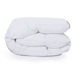 Idmarket - couette 220x240 cm aela blanche en plume d'oie anti acarien 500 gr Idmarket - couette 220x240 cm aela blanche en plume d'oie anti acarien 500 gr