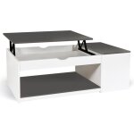 Idmarket - table basse plateau relevable rectangulaire elea avec coffre bois blanc et gris