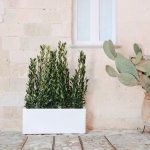 Idralite - jardini�re pot de fleurs rectangulaire en r�sine 40x100 cm mod. matera blanc
