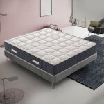 Ilovesleep - matelas � m�moire de forme - haut 30 cm - 11 zones diff�renci�es - m�moire 5 cm - orthop�dique ...