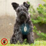 Innovagoods - r�pulsif anti - nuisible � ultrasons rechargeables pour les animaux de compagnie petrep ...