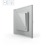 Interrupteur inverseur, cadre gris