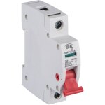 Interrupteur - sectionneur modulaire - 25a - 1 module - rail din - blanc