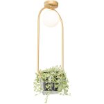 Isabella - plafonnier - 1 lumi�re - l 25 cm - dor� / laiton - art deco, design - �clairage int�rieur ...