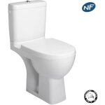 Jacob delafon - wc  poser odeon up + abattant standard frein du chute