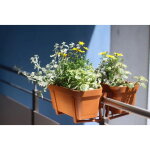 Jardini�re de balcon en brique plastique 40x17cm avec support lobelia
