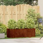Jardini�re - pot de fleur - bac � fleurs rouill� 120x40x40 cm acier inoxydable