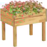 Jardini�re sur�lev�e 50x40x45 cm bois massif d'acacia vidaxl