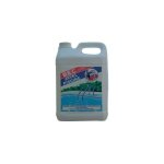 Eau de javel sp�cial piscine 5 litres - pintaud - bec