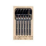 Jean dubost - coffret 6 cuilleres cafe laguiole inox