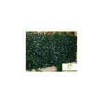 Jet7garden - gamme haie feuillages duo 1, 00mx3m