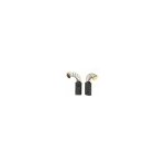 Jeu de 2 charbons adaptable pour bosch. dimensions: 5 x 8 x 15, 5mm.