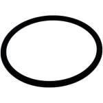 Joint torique lectrode cellule pour lectrolyseurs au sel zodiac r0738500