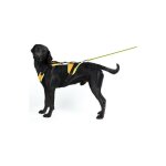 Julius k9 - harnais de pistage jk9 mantrailing d�signation : harnais orange small 600263