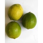 Jus de citron vert 2 kg - citrons verts brésiliens pour jus, fruits de qualité supérieure Jus de citron vert 2 kg - citrons verts brésiliens pour jus, fruits de qualité supérieure