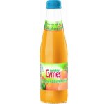Jus de mandarine 250 ml - jus 100% naturel, source de vitamine c Jus de mandarine 250 ml - jus 100% naturel, source de vitamine c