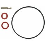 Kit de carburateur castelgarden - ggp 118550389 / 0
