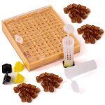 Kit elevage commplet reines avec syst�me nicot pour apiculture outils d'�levage reine des abeilles