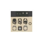 Kit membrane carburateur walbro k10 - wy